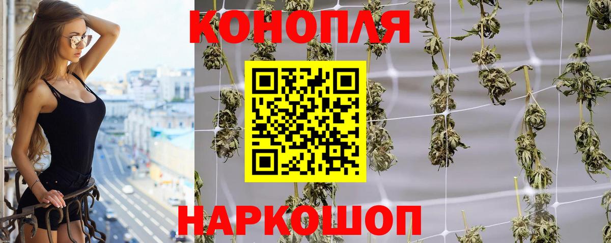 Конопля OG Kush  Вход с VPN  Прокопьевск  Канабис OG Kush  Марихуана конопля 